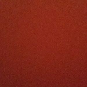 Meet your Posher, Shauna